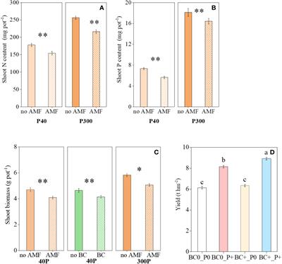 Effects of biochar and arbuscular mycorrhizal fungi on winter wheat growth and soil N2O emissions in different phosphorus environments